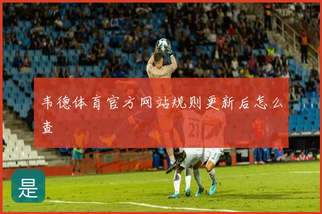 韦德体育官方网站规则更新后怎么查