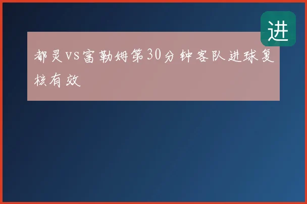 都灵vs富勒姆第30分钟客队进球复核有效