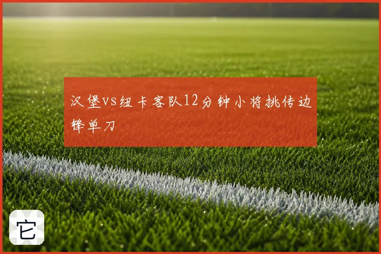 汉堡vs纽卡客队12分钟小将挑传边锋单刀